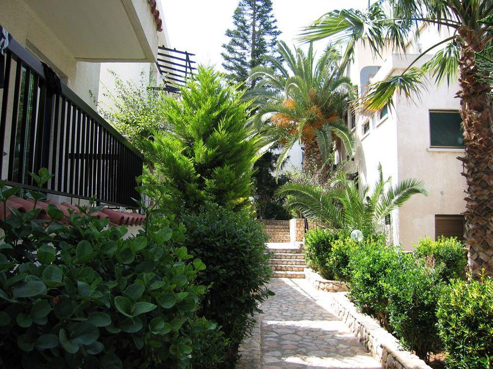 Aphelandra 2* Ayia Napa